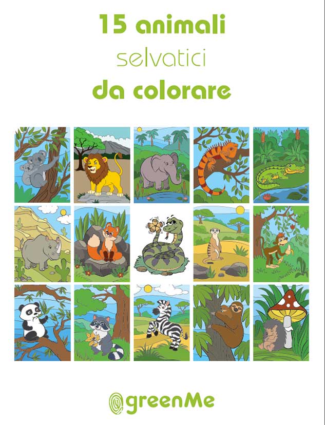 Colorare Animali Selvaggi: Libro per Bambini 4-8 Anni (Paperback