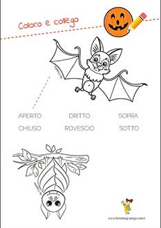 Disegno di Halloween da colorare pipistrello aperto e chiuso e contrari