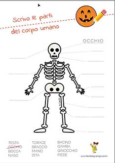 Halloween scheda didattica scienze scheletro parti del corpo umano parole